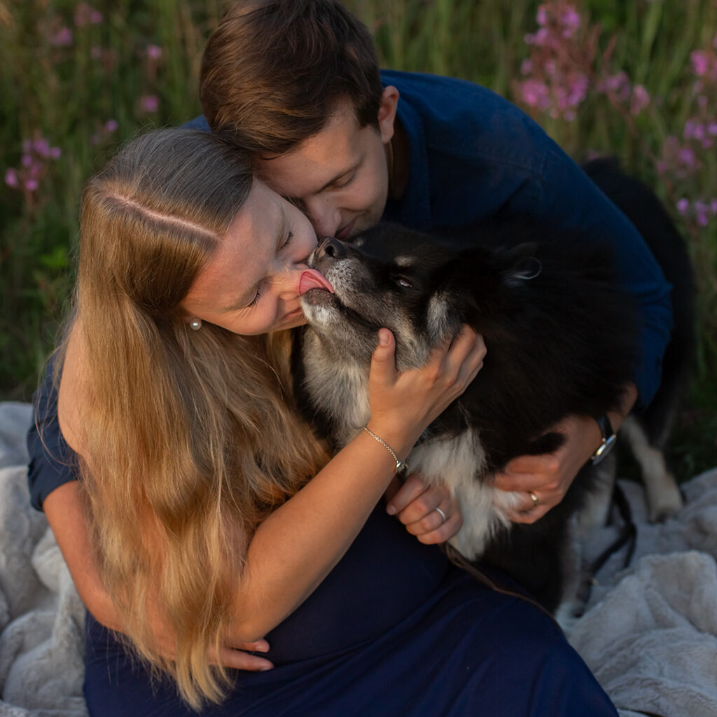 parfotografering, hundfotografering, familjemedlem på fyra ben, tassar, hund, hundar, hundbilder, Helsingborg