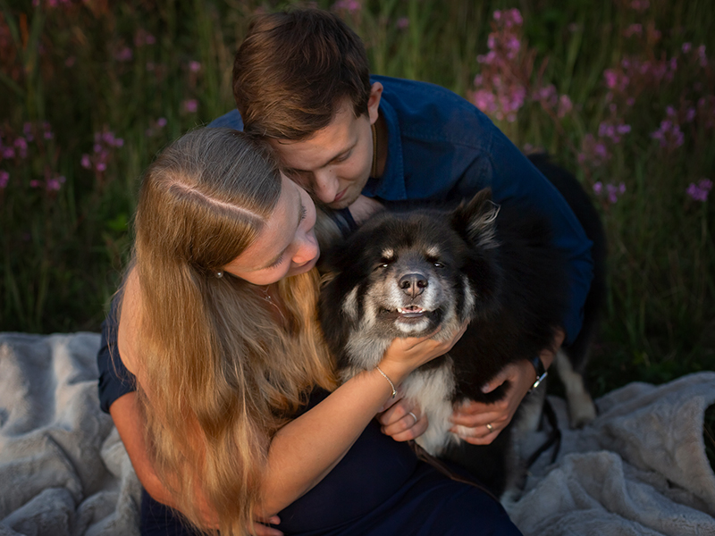 hundfotografering, gravidpar, gravidfotografering, pälskling, familjemedlem på fyra ben, pälsklädd familjemedlem, hundar, Helsingborg, husdjursfotograf