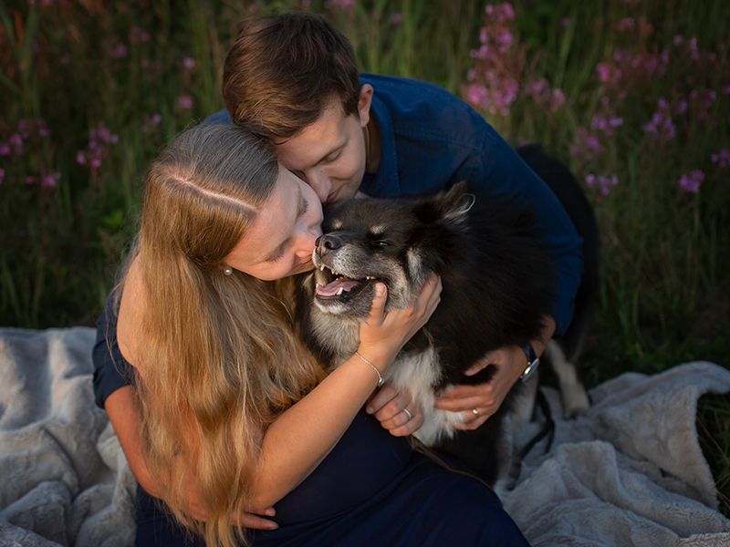 hundfotografering, gravidpar, gravidfotografering, pälskling, familjemedlem på fyra ben, pälsklädd familjemedlem, hundar, Helsingborg, husdjursfotograf