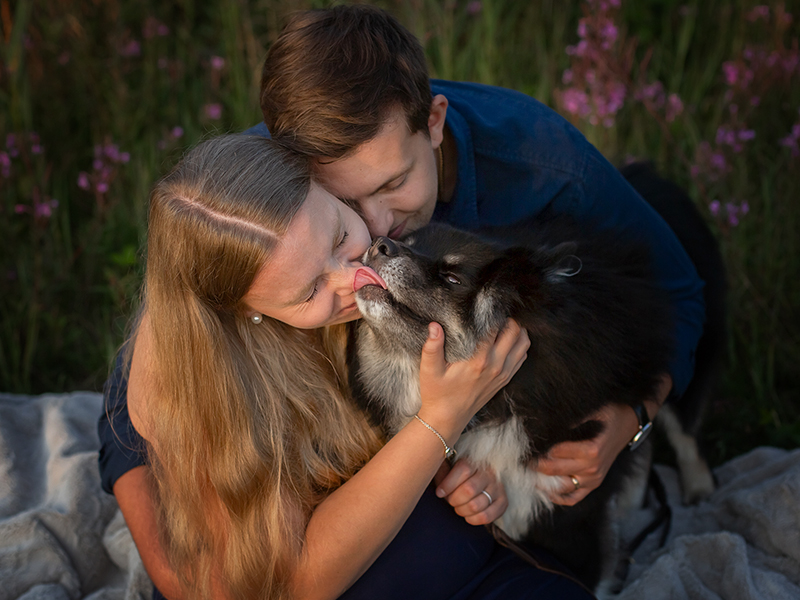 hundfotografering, gravidpar, gravidfotografering, pälskling, familjemedlem på fyra ben, pälsklädd familjemedlem, hundar, Helsingborg, husdjursfotograf