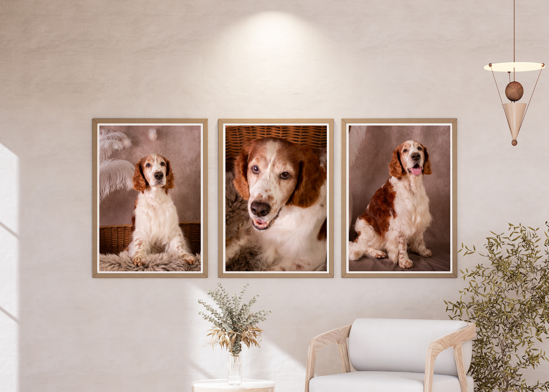 hundporträtt, inramningar, husdjursfotografering, familjefotograf, Helsingborg, Råå, studio på Råå