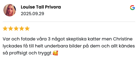 I Tell Your Story, recension, husdjursfotografering, Råå