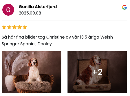 I Tell Your Story, recension, husdjursfotografering, Råå