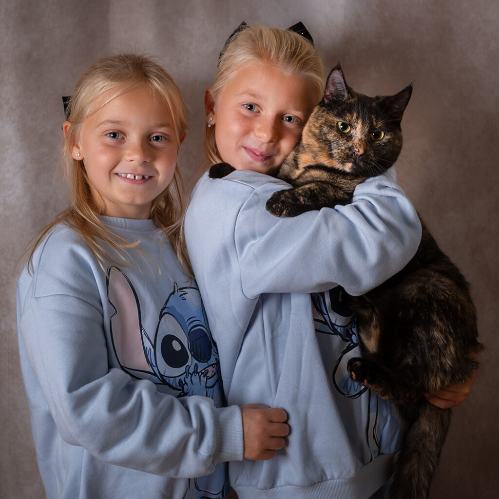katten Zelda, husdjursfotografering, kattfotografering, husdjursfotograf på Råå, studio på Råå, kattbilder, kattporträtt, småmattar