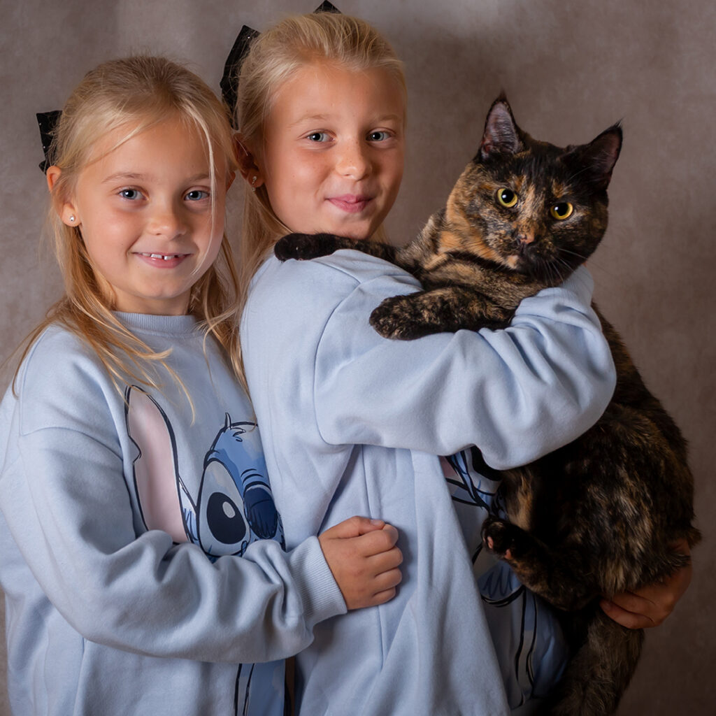 katten Zelda, husdjursfotografering, kattfotografering, husdjursfotograf på Råå, studio på Råå, kattbilder, kattporträtt, småmattar